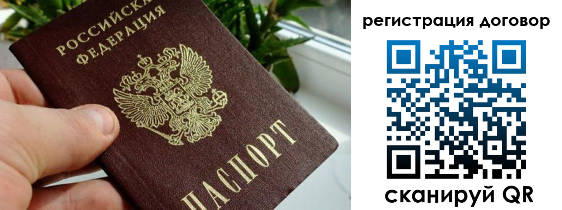 прописка ребенка в Анапе